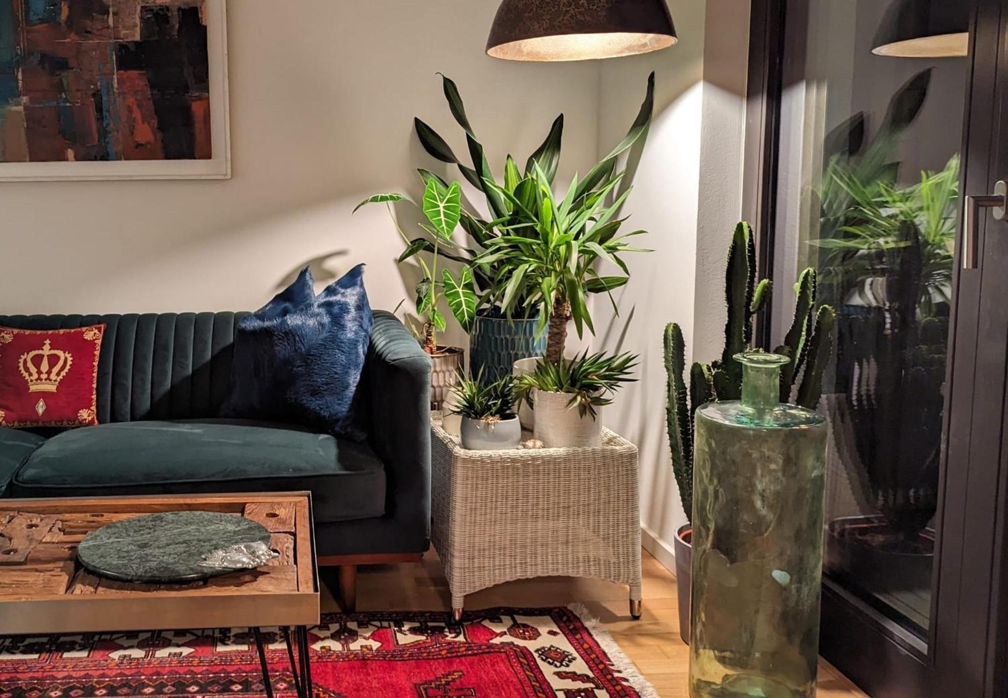 Either Private 2B2B Or Shared 1B1B, Luxury, Bright, Spacious — Fotos 1